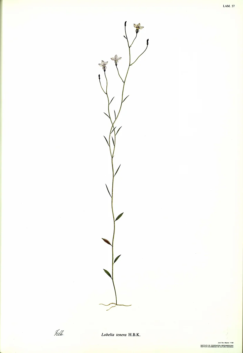 Botanical Expedition Image 1